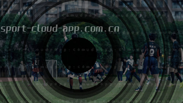 2026新版APP安装指引
